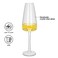 Fissman 2-Piece 230ml Champagne Glass Set