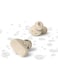 Philips True Wireless Earbuds, TWS Bluetooth 5.3 with Hybrid ANC, AI Clear Calls, Dynamic Bass Boost, IPX4 Waterproof, Touch Controls, USB-C Charging Case, Up to 24H Battery Life, TAT3509, Beige