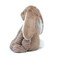 Toudou the Bunny Plush Toy - Beige