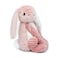 Toudou the Bunny Plush Toy - Pink