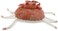 Les D&eacute;glingos  PTIPOTOS Cassecol Crab &ndash; Soft Plush Crab Toy, Terracotta Ocean Animal Stuffed Toy for Kids &amp; Toddlers