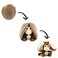Les D&eacute;glingos  Flipetz Coconet Coconut Monkey Plush Toy &ndash; Soft &amp; Cuddly Monkey Stuffed Animal for Babies, Toddlers &amp; Kids