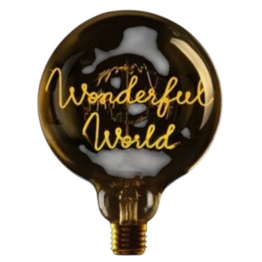 WONDERFUL WORLD - LED GLASS BULB - &Oslash;70 &times; H110 MM