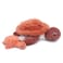 Sauvenou the Turtle Mom &amp; Baby Plush Toy - Terracotta Rust