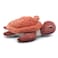 Sauvenou the Turtle Mom &amp; Baby Plush Toy - Terracotta Rust