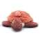 Sauvenou the Turtle Mom &amp; Baby Plush Toy - Terracotta Rust