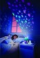 Lumiluvs Starlite Cottage