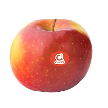 APPLE HONEY CRUNCH