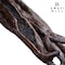 AWAFI MILL Premium Madagascar Vanilla Beans - Grade A Whole Pods for Exquisite Flavor and Culinary Delights (Pack Of (5 Pods) Hand Picked)