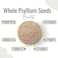Awafi Mill Dried Whole Psyllium Seeds - Versatile Ispaghol Seed Whole for Culinary Use   Natural Thickening, Baking, and Cooking Ingredient (Bottle of 50 gram / 1.7 Oz)