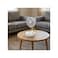 Green Lion ROVIO 8 Folding Rechargeable Fan with LED Light, 7200mAh Battery &amp; Oscillation