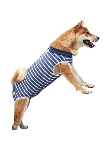 Dog Recovery Suit, Bandages Cone E-Collar Alternative Professional Protective Shirt for Male Female Dogs &amp; Cats After Surgery, Pet Post Operative Jumpsuit for Abdominal Wounds (Blue, S)