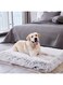 Skade Luxury Dog Bed Orthopedic Pet Bed Waterproof Mattress with Removable Washable Cover, Thick Egg Crate Foam Dog Bed with Non-Slip Bottom for Small Medium Large Dogs (Large)
