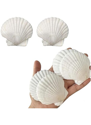 JZS Sea Shells for Crafts Decoration Crafting 9-12cm White Scallop Shells, for Crafts DIY Painting Beaching Wedding Decoration, Beach Natural Scallop Shells Bulk,6pcs