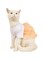 Cat Dress Tee Dress Dog Cat Princess Dresses Cute Cake Dress Pet Clothes for Small Medium Dogs Kitten Puppy (Orange, M)