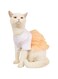 Cat Dress Tee Dress Dog Cat Princess Dresses Cute Cake Dress Pet Clothes for Small Medium Dogs Kitten Puppy (Orange, M)