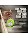 MOBCOS Mini Pouch Keychain &ndash; Cute Round Zipper Coin Purse &amp; Multipurpose Mini Storage Bag with Keyring for Coins, Cash, Keys and Small Essentials   Green Rainbow