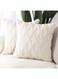 IIEPECA 2 Pack Cushion Covers Soft Cozy Plush Short Faux Wool Velvet Decorative Sofa Throw Pillow Covers Luxury Style Cushion Case Pillow Shell for Couch Sofa Bedroom Pillow Square (White, 20 x20inch)