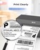 Nelko Genuine 4x6 Direct Thermal Shipping Label 1000 Labels/2 Stacks, Nelko 4x6 Thermal Labels Compatible with Nelko PL70E thermal label printer, Perforated and Strong Adhesive, Commercial Grade
