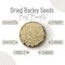 AWAFI MILL Dried Barley Seeds - Premium Quality - Rich in Fiber and Nutrients - Versatile Ingredient for Cooking and Brewing - Natural Source of Energy (Bottle of 50 gram / 1.7 Oz)