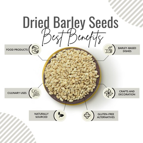 AWAFI MILL Dried Barley Seeds - Premium Quality - Rich in Fiber and Nutrients - Versatile Ingredient for Cooking and Brewing - Natural Source of Energy (Bottle of 50 gram / 1.7 Oz)