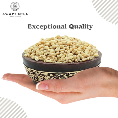 AWAFI MILL Dried Barley Seeds - Premium Quality - Rich in Fiber and Nutrients - Versatile Ingredient for Cooking and Brewing - Natural Source of Energy (Bottle of 50 gram / 1.7 Oz)