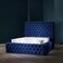 Cozy Cuddle Tufted Upholstered King Size Bed (180 X 200 CM) Blue Color
