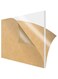 Silk Route A4 Cast Acrylic Sheet 2-Pieces, 6 mm Size