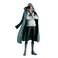 Banpresto King Of Artist One Piece Kuzan Figure (23 cm)