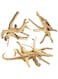 SYOSI 3 Pcs Natural Spiderwood Driftwood for Aquarium Decor Rptile Fish Tank Decoration Assort Branch(7-10inches)