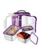 Stainless Steel Lunch Box for Kid School, Insulated Bento Lunch Box with Bag, 3 Compartment Divided Lunch Containers with Lids, Leakproof, BFA Free, Dishwasher Safe, 1260ML Purple