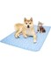 ShabeEat Summer Cat Cooling Mat &amp; Sleeping Pad - Water Absorption Top, Waterproof Bottom, Materials Safe, Easy Carry, EZ Clean. Keep Cooling for Pets, Kids and Adults - Blue, 55 x 70 cm