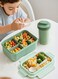 ZYouth Lunch Boxes with 480ml Water Cup, with Spoon &amp; Fork Bento Lunch, Snack Box, Perfect for School, Nursery &amp; Trips, Lunch Containers for Boys and Girls, Green