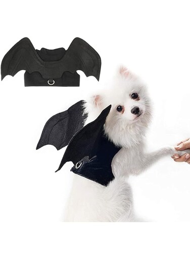 RYPET Torimfe Halloween Bat Wings Pet Costumes for Dog and Cats, Medium