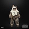 Star Wars The Black Series Paploo, Return Of The Jedi 40th Anniversary 6-Inch Collectible Action Figures, Ages 4 And Up