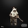 Star Wars The Black Series Paploo, Return Of The Jedi 40th Anniversary 6-Inch Collectible Action Figures, Ages 4 And Up