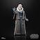 Star Wars Black Series ROTJ Bib Fortuna Action Figure