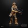 Star Wars The Black Series Chewbacca, Return Of the Jedi 15 cm Action Figures