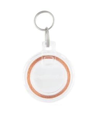 Pet Safe Passport Key