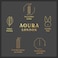 Aoura London Midnight Passion Body Mist 220ml   Fresh Floral Long Lasting   Daily Wear Fragrance Spray for Women 200ml