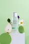 Scentology Orchard Fruits &amp; Freesia Body Mist for Women 200ml &ndash; Fruity Floral Long Lasting Refreshing Fragrance