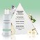 Scentology Orchard Fruits &amp; Freesia Body Mist for Women 200ml &ndash; Fruity Floral Long Lasting Refreshing Fragrance