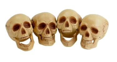 Skull Heads 4 Pieces