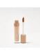 Technic 3-in-1 Canvas Concealer - Honey