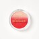 Technic Ombre Blusher - Beach Happy