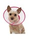 ELECDON Pet Cone, Adjustable 6.7-9 Inches Lightweight Elizabethan Collar for Puppies, Small Dogs and Cats Adjustable Recovery Cat Cone Dog Cone Collar Clear Padded (Pink)