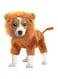 Pet Costume,Halloween Dog Cosplay Lion Costume Christmas Puppy Small Dog Funny Cosplay Outfits,Cats Funny Apparel Dressing Up Parties Pet Clothes Suits (Brown, S)