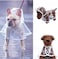 Pet Raincoat, White Transparent M Size, Small Dog Waterproof Clothes Rain Jacket Puppy Transparent Poncho Rainwear Clothes for Small Dog, Outdoor Pet Supplies Puppy Teddy Poodle Bichon Dog Raincoat