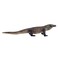 Mojo Animal Komodo Dragon