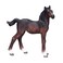 Mojo Hanoverian Foal Bay Realistic Equestrian Horse Club Hand Painted Toy Figurine, 381018
